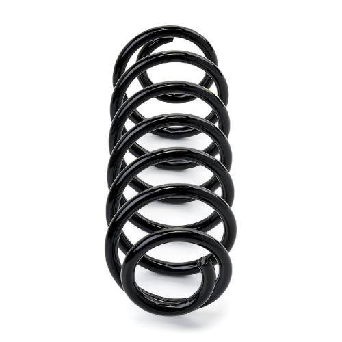 RIDEX PLUS 188C0090P 2x Federn Fahrwerksfedern Hinten für VW Golf 5I (5K1) Bild RIDEX PLUS 188C0090P 2x Federn Fahrwerksfedern Hinten für VW Golf 5I (5K1)