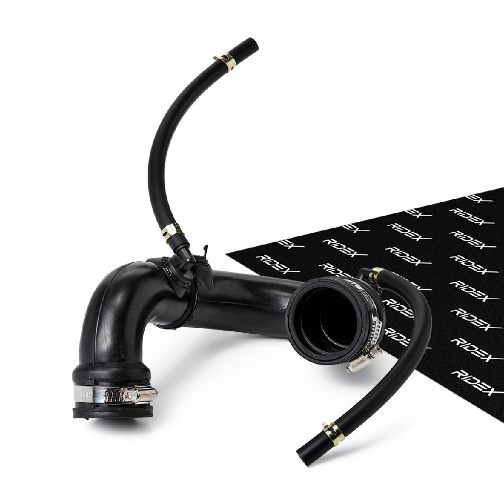 RIDEX 3314C0113 Ladeluftschlauch für RENAULT Clio 1II Schrägheck (BR0/1, CR0/1)