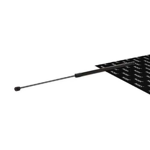 RIDEX Motorhaubendämpfer Vorne für VW PASSAT Variant (3B6) Bild RIDEX Motorhaubendämpfer Vorne für VW PASSAT Variant (3B6)