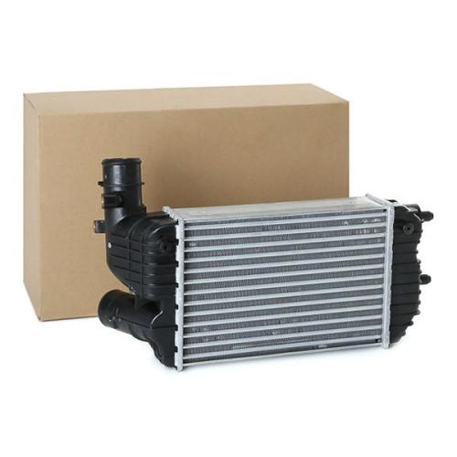 RIDEX 468I0163 Ladeluftkühler/LLK Turbokühler für FIAT 0384E4 1307012080 0384G8 Bild RIDEX 468I0163 Ladeluftkühler/LLK Turbokühler für FIAT 0384E4 1307012080 0384G8