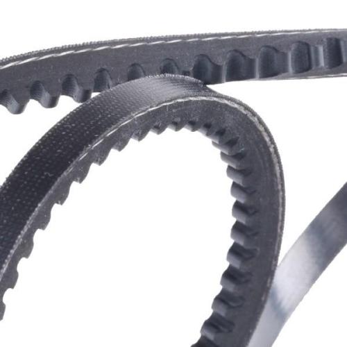 RIDEX PLUS 10C0006P Keilriemen 775mm für AUDI 80 (89, 89Q, 8A, B3) für FIAT Bild RIDEX PLUS 10C0006P Keilriemen 775mm für AUDI 80 (89, 89Q, 8A, B3) für FIAT