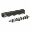 RIDEX Nockenwelle f&uuml;r VW Golf 1V Schr&auml;gheck (1J1)