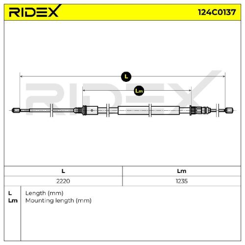 RIDEX Handbremsseil Hinten Rechts Links für RENAULT Laguna 1I Grandtour (KG0/1) Bild RIDEX Handbremsseil Hinten Rechts Links für RENAULT Laguna 1I Grandtour (KG0/1)