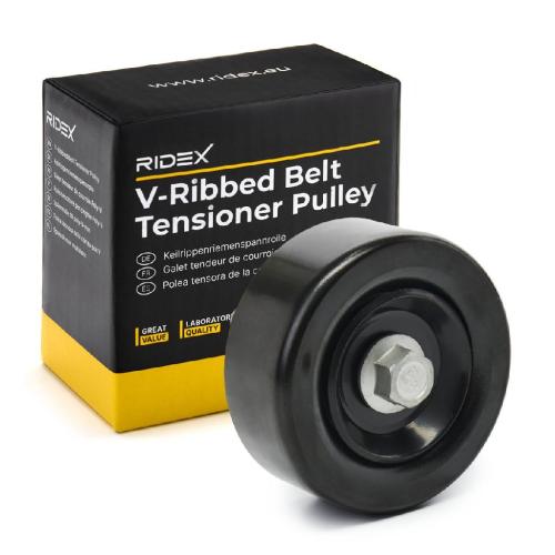 RIDEX Umlenk- / Führungsrolle Keilrippenriemen für HYUNDAI Tucson (TL, TLE) Bild RIDEX Umlenk- / Führungsrolle Keilrippenriemen für HYUNDAI Tucson (TL, TLE)