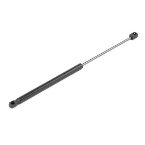 RIDEX Motorhaubendämpfer für FIAT STILO (192) Bild RIDEX Motorhaubendämpfer für FIAT STILO (192)