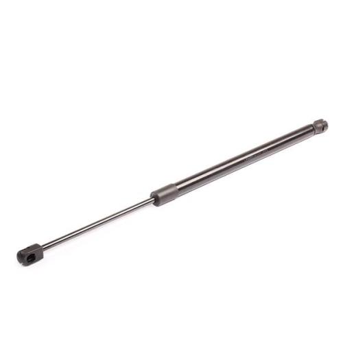 RIDEX 219G0307 Heckklappendämpfer hinten Länge:520mm 665N Hub: 180mm für RENAULT Bild RIDEX 219G0307 Heckklappendämpfer hinten Länge:520mm 665N Hub: 180mm für RENAULT