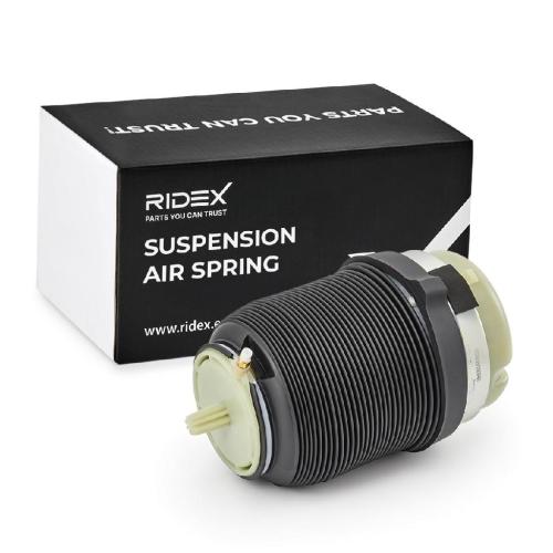 RIDEX Luftfederung Luftfeder Hinterachse beidseitig 4F0616001J 4F0616001Q Bild RIDEX Luftfederung Luftfeder Hinterachse beidseitig 4F0616001J 4F0616001Q