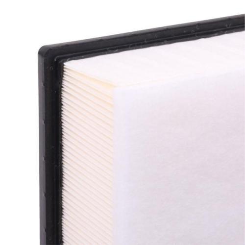 RIDEX 8A0401 Luftfilter mit Vorfilter für VW POLO (9N) Transporter T5 Bus Bild RIDEX 8A0401 Luftfilter mit Vorfilter für VW POLO (9N) Transporter T5 Bus