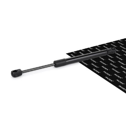 RIDEX Motorhaubendämpfer für BMW 5 Touring (F11) Bild RIDEX Motorhaubendämpfer für BMW 5 Touring (F11)
