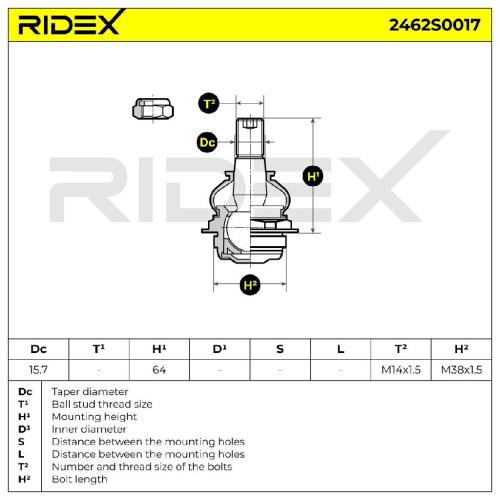 RIDEX 2462S0017 Traggelenk Führungsgelenk Vorne Links Rechts für CITROËN Bild RIDEX 2462S0017 Traggelenk Führungsgelenk Vorne Links Rechts für CITROËN