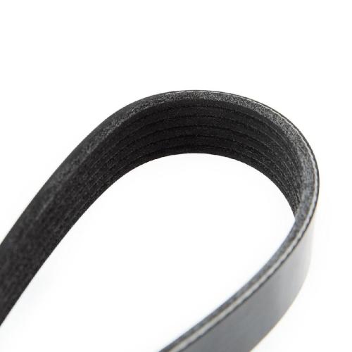 RIDEX Keilrippenriemen für FORD Fiesta Mk6 Schrägheck (JA8, JR8) Bild RIDEX Keilrippenriemen für FORD Fiesta Mk6 Schrägheck (JA8, JR8)