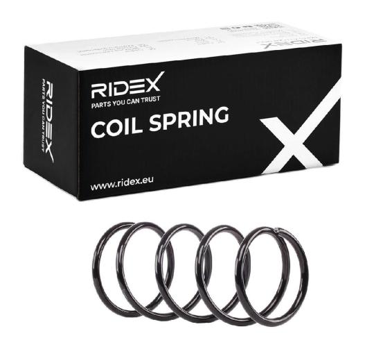 RIDEX 188C0487 2x Federn Fahrwerksfedern Vorne für NISSAN ALMERA TINO (V10) Bild RIDEX 188C0487 2x Federn Fahrwerksfedern Vorne für NISSAN ALMERA TINO (V10)