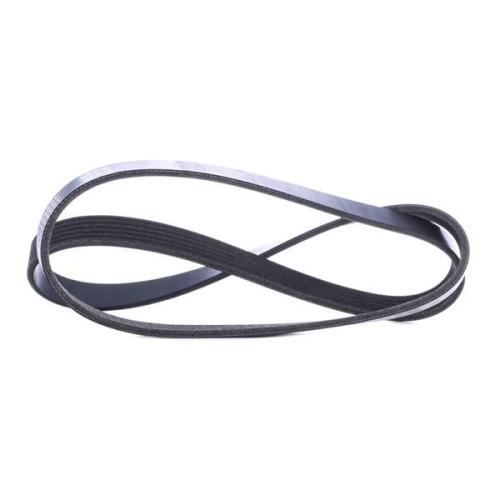 Keilrippenriemen RIDEX 6PK1249 für FORD Focus II Schrägheck (DA, HCP, DP) C-MAX Bild Keilrippenriemen RIDEX 6PK1249 für FORD Focus II Schrägheck (DA, HCP, DP) C-MAX