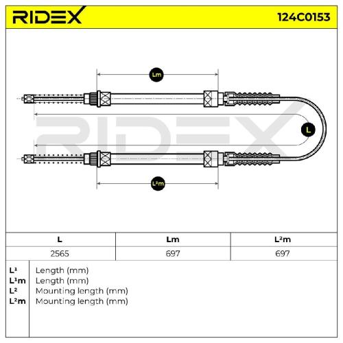 RIDEX Handbremsseil Hinten für FIAT DUCATO Kasten (290) Bild RIDEX Handbremsseil Hinten für FIAT DUCATO Kasten (290)