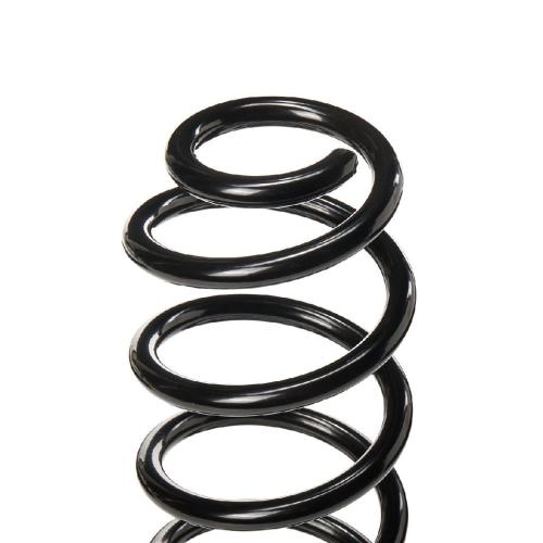 RIDEX 188C0343 2x Federn Fahrwerksfedern Hinten für VW Golf 5 Schrägheck Bild RIDEX 188C0343 2x Federn Fahrwerksfedern Hinten für VW Golf 5 Schrägheck