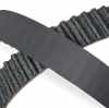 RIDEX PLUS Zahnriemen für RENAULT Clio 1II Schrägheck (BR0/1, CR0/1) Bild RIDEX PLUS Zahnriemen für RENAULT Clio 1II Schrägheck (BR0/1, CR0/1)
