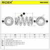 RIDEX 188C0062 2x Federn Fahrwerksfedern Hinten passend für MERCEDES-BENZ Bild RIDEX 188C0062 2x Federn Fahrwerksfedern Hinten passend für MERCEDES-BENZ