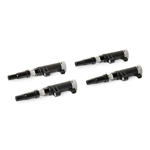 RIDEX 689C0487 4x Zündspulen für RENAULT Clio 1II Schrägheck (BR0/1, CR0/1) Bild RIDEX 689C0487 4x Zündspulen für RENAULT Clio 1II Schrägheck (BR0/1, CR0/1)