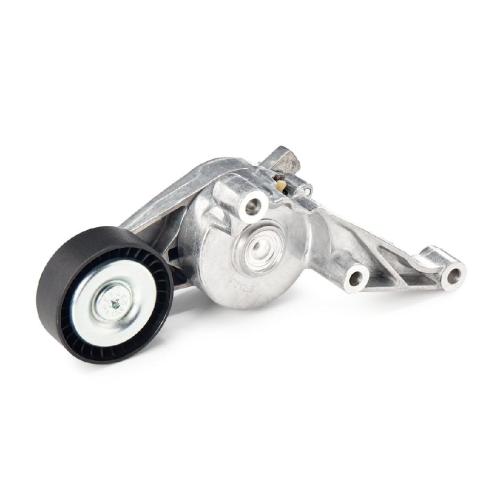 RIDEX Spannarm Keilrippenriemen für VW Golf 5 Schrägheck (1K1) Bild RIDEX Spannarm Keilrippenriemen für VW Golf 5 Schrägheck (1K1)