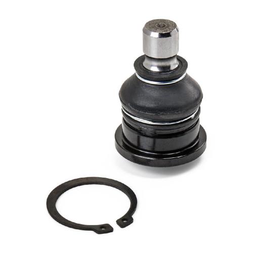 RIDEX 2462S0265 Traggelenk Führungsgelenk Vorne für FORD Fiesta Mk6 Schrägheck Bild RIDEX 2462S0265 Traggelenk Führungsgelenk Vorne für FORD Fiesta Mk6 Schrägheck