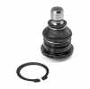 RIDEX 2462S0265 Traggelenk Führungsgelenk Vorne für FORD Fiesta Mk6 Schrägheck Bild RIDEX 2462S0265 Traggelenk Führungsgelenk Vorne für FORD Fiesta Mk6 Schrägheck