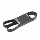 Keilrippenriemen RIDEX für BMW 5 Touring (F11) 1 Schrägheck (F20) 3 Touring