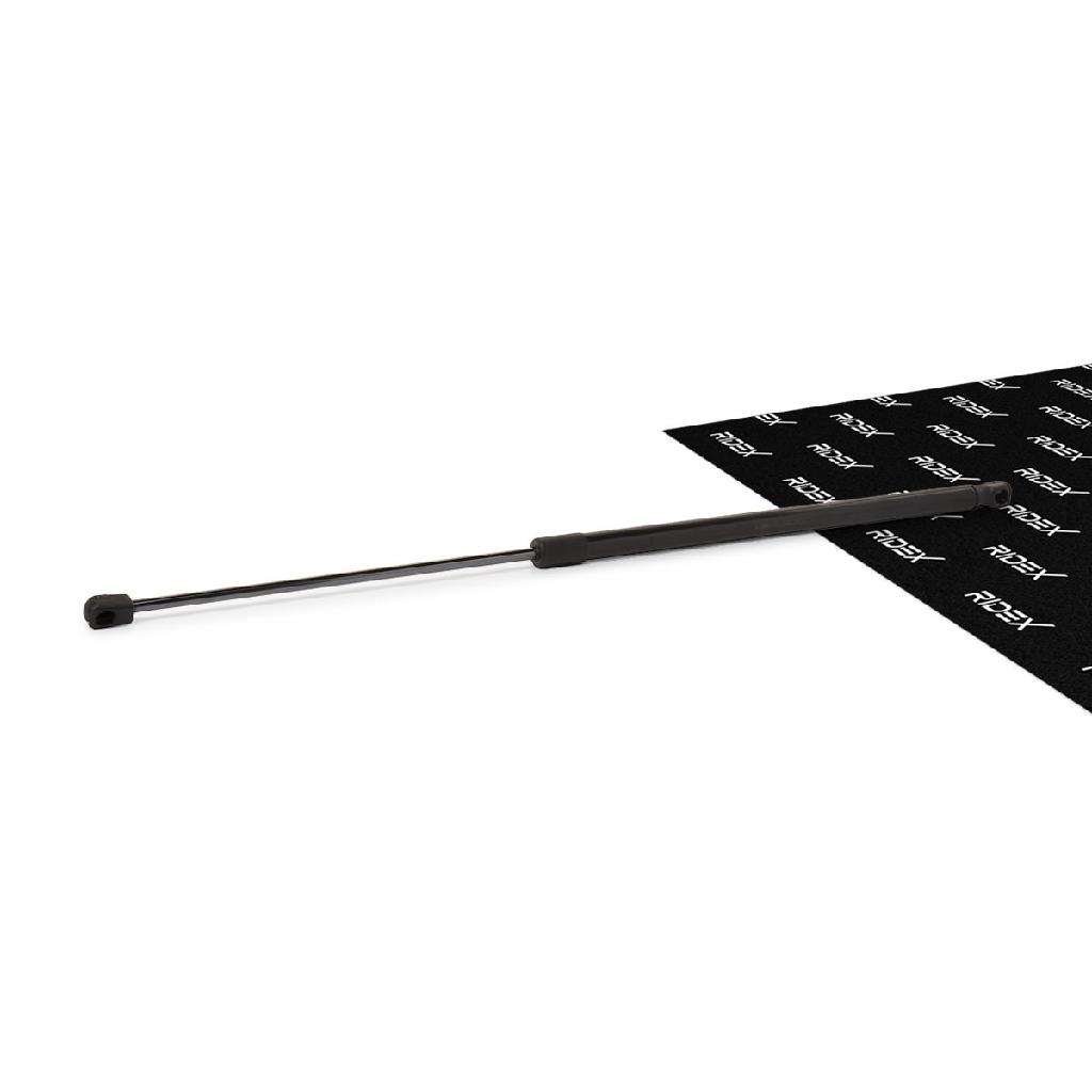 RIDEX Motorhaubendämpfer passend für PEUGEOT 306 Schrägheck (7A, 7C, N3, N5)
