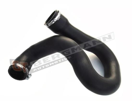 GT-BERGMANN GT52-189 Ladeluftschlauch mit Klemmstücken für OPEL 8200760918 Bild GT-BERGMANN GT52-189 Ladeluftschlauch mit Klemmstücken für OPEL 8200760918