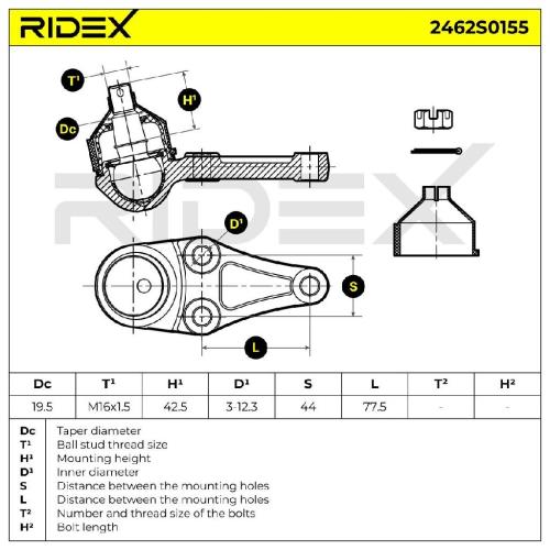 RIDEX 2462S0155 Traggelenk Führungsgelenk Vorne für MITSUBISHI PAJERO IV Bild RIDEX 2462S0155 Traggelenk Führungsgelenk Vorne für MITSUBISHI PAJERO IV