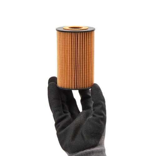RIDEX Ölfilter Motorölfilter Filtereinsatz mit Dichtungen 7O0009 für VW Golf 5I Bild RIDEX Ölfilter Motorölfilter Filtereinsatz mit Dichtungen 7O0009 für VW Golf 5I