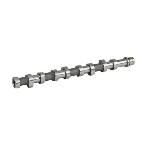 RIDEX Nockenwelle für FORD Fiesta Mk6 Schrägheck (JA8, JR8) Bild RIDEX Nockenwelle für FORD Fiesta Mk6 Schrägheck (JA8, JR8)