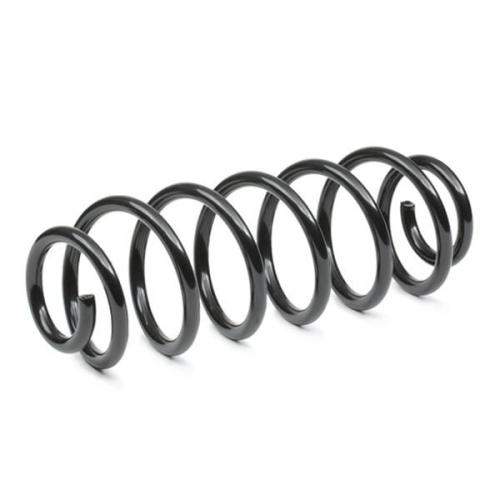 RIDEX 188C1417 2x Federn Fahrwerksfedern Hinten passend für PEUGEOT 5102W9 Bild RIDEX 188C1417 2x Federn Fahrwerksfedern Hinten passend für PEUGEOT 5102W9