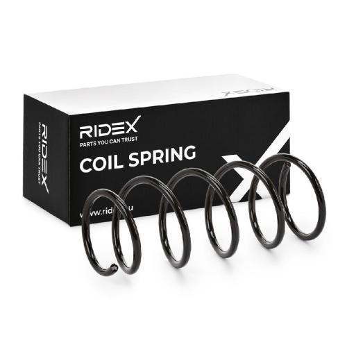 RIDEX 188C0420 2x Federn Fahrwerksfedern Vorne für RENAULT Clio 1 Bild RIDEX 188C0420 2x Federn Fahrwerksfedern Vorne für RENAULT Clio 1