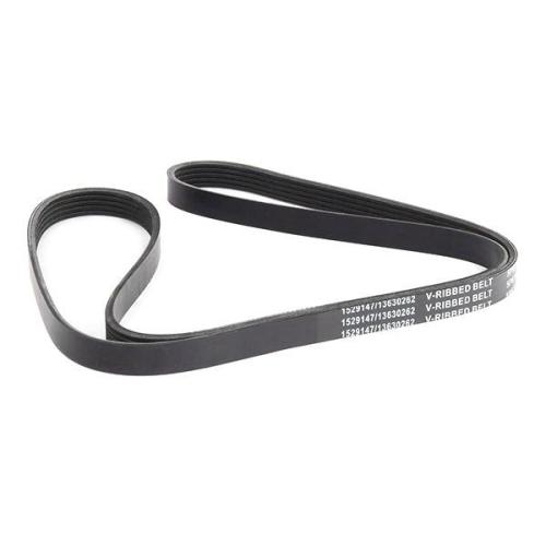 RIDEX Keilrippenriemen für HYUNDAI Tucson (TL, TLE) Bild RIDEX Keilrippenriemen für HYUNDAI Tucson (TL, TLE)