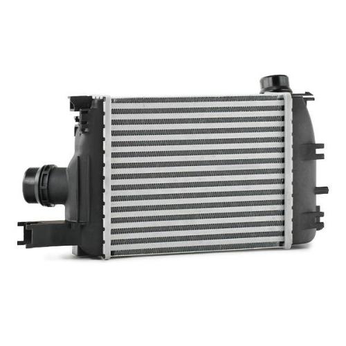 RIDEX 468I0117 Ladeluftkühler/LLK Turbokühler für DACIA DUSTER 144965154R Bild RIDEX 468I0117 Ladeluftkühler/LLK Turbokühler für DACIA DUSTER 144965154R