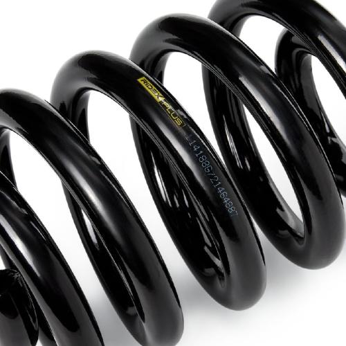 RIDEX PLUS 188C0526P 2x Federn Fahrwerksfedern Hinten für VW 7H8511115C Bild RIDEX PLUS 188C0526P 2x Federn Fahrwerksfedern Hinten für VW 7H8511115C