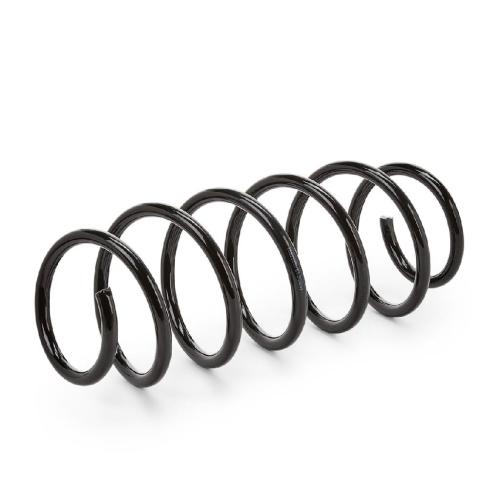 RIDEX 188C0038 2x Federn Fahrwerksfedern Vorne für VW POLO (9N) 6Q0411105S Bild RIDEX 188C0038 2x Federn Fahrwerksfedern Vorne für VW POLO (9N) 6Q0411105S