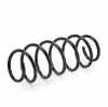 RIDEX 188C0038 2x Federn Fahrwerksfedern Vorne für VW POLO (9N) 6Q0411105S Bild RIDEX 188C0038 2x Federn Fahrwerksfedern Vorne für VW POLO (9N) 6Q0411105S