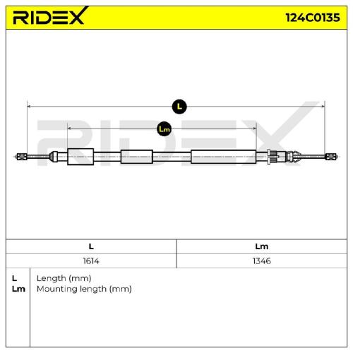 RIDEX Handbremsseil Hinten Rechts passend für PEUGEOT 306 Schrägheck Bild RIDEX Handbremsseil Hinten Rechts passend für PEUGEOT 306 Schrägheck