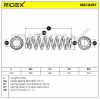 RIDEX 188C0287 2x Federn Fahrwerksfedern Vorne für VW POLO (6N2) 6N0411105T Bild RIDEX 188C0287 2x Federn Fahrwerksfedern Vorne für VW POLO (6N2) 6N0411105T
