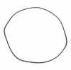 Keilrippenriemen RIDEX PLUS 5PK1155 für FIAT 500 (312) 500 C (312) PUNTO (188) Bild Keilrippenriemen RIDEX PLUS 5PK1155 für FIAT 500 (312) 500 C (312) PUNTO (188)