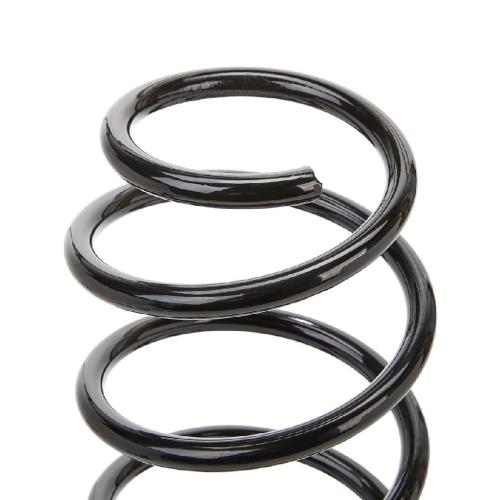 RIDEX 188C0038 2x Federn Fahrwerksfedern Vorne für VW POLO (9N) 6Q0411105S Bild RIDEX 188C0038 2x Federn Fahrwerksfedern Vorne für VW POLO (9N) 6Q0411105S