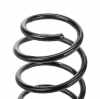 RIDEX 188C0038 2x Federn Fahrwerksfedern Vorne für VW POLO (9N) 6Q0411105S Bild RIDEX 188C0038 2x Federn Fahrwerksfedern Vorne für VW POLO (9N) 6Q0411105S