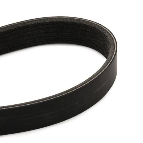 RIDEX Keilrippenriemen für VW Golf 5 Schrägheck (1K1) Bild RIDEX Keilrippenriemen für VW Golf 5 Schrägheck (1K1)