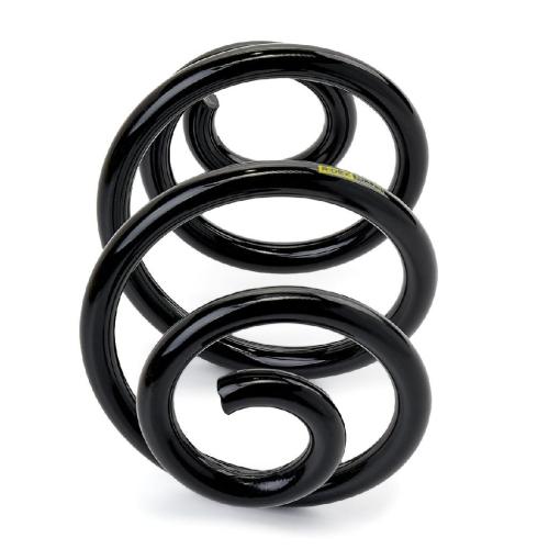 RIDEX PLUS 188C0014P Fahrwerksfeder Hinten für BMW 3 Limousine (E46) 33531094740 Bild RIDEX PLUS 188C0014P Fahrwerksfeder Hinten für BMW 3 Limousine (E46) 33531094740