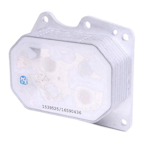 RIDEX 469O0120 Ölkühler Motoröl Kühler für FIAT Ducato Kastenwagen (250, 290) Bild RIDEX 469O0120 Ölkühler Motoröl Kühler für FIAT Ducato Kastenwagen (250, 290)