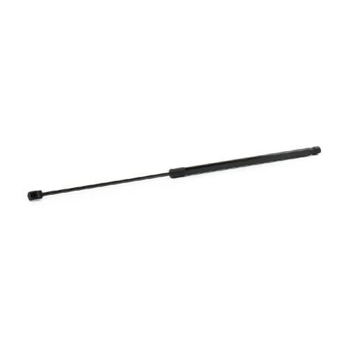 RIDEX Motorhaubendämpfer für AUDI A4 Avant (8ED, B7) Bild RIDEX Motorhaubendämpfer für AUDI A4 Avant (8ED, B7)