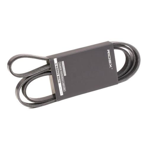 RIDEX Keilrippenriemen passend für MERCEDES-BENZ A-Klasse (W169) Bild RIDEX Keilrippenriemen passend für MERCEDES-BENZ A-Klasse (W169)