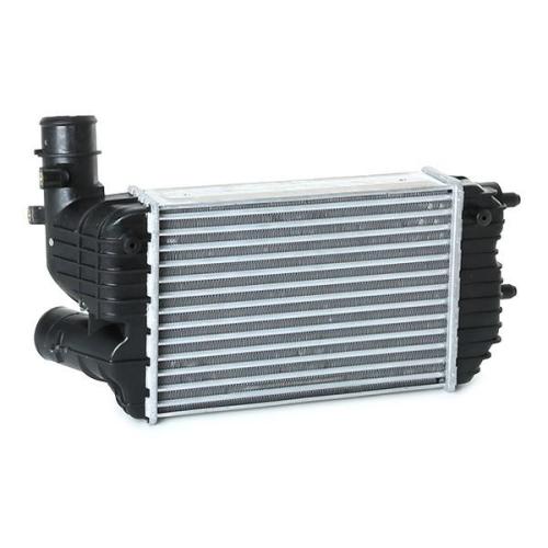 RIDEX 468I0163 Ladeluftkühler/LLK Turbokühler für FIAT 0384E4 1307012080 0384G8 Bild RIDEX 468I0163 Ladeluftkühler/LLK Turbokühler für FIAT 0384E4 1307012080 0384G8