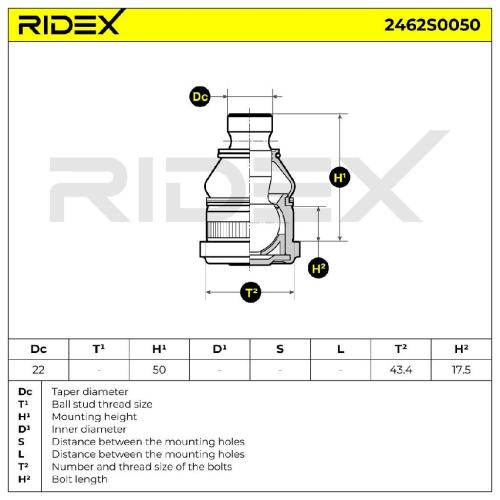 RIDEX 2462S0050 Traggelenk Führungsgelenk Vorne für RENAULT Master 1I Kasten Bild RIDEX 2462S0050 Traggelenk Führungsgelenk Vorne für RENAULT Master 1I Kasten